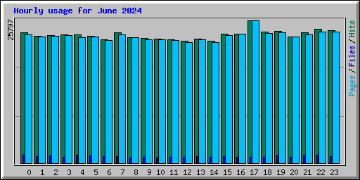 Hourly usage for June 2024