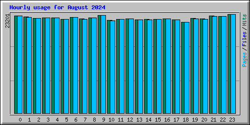 Hourly usage for August 2024