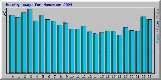 Hourly usage for November 2024