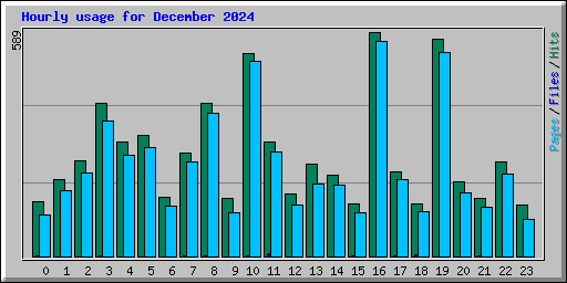 Hourly usage for December 2024