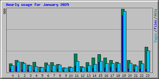 Hourly usage for January 2025